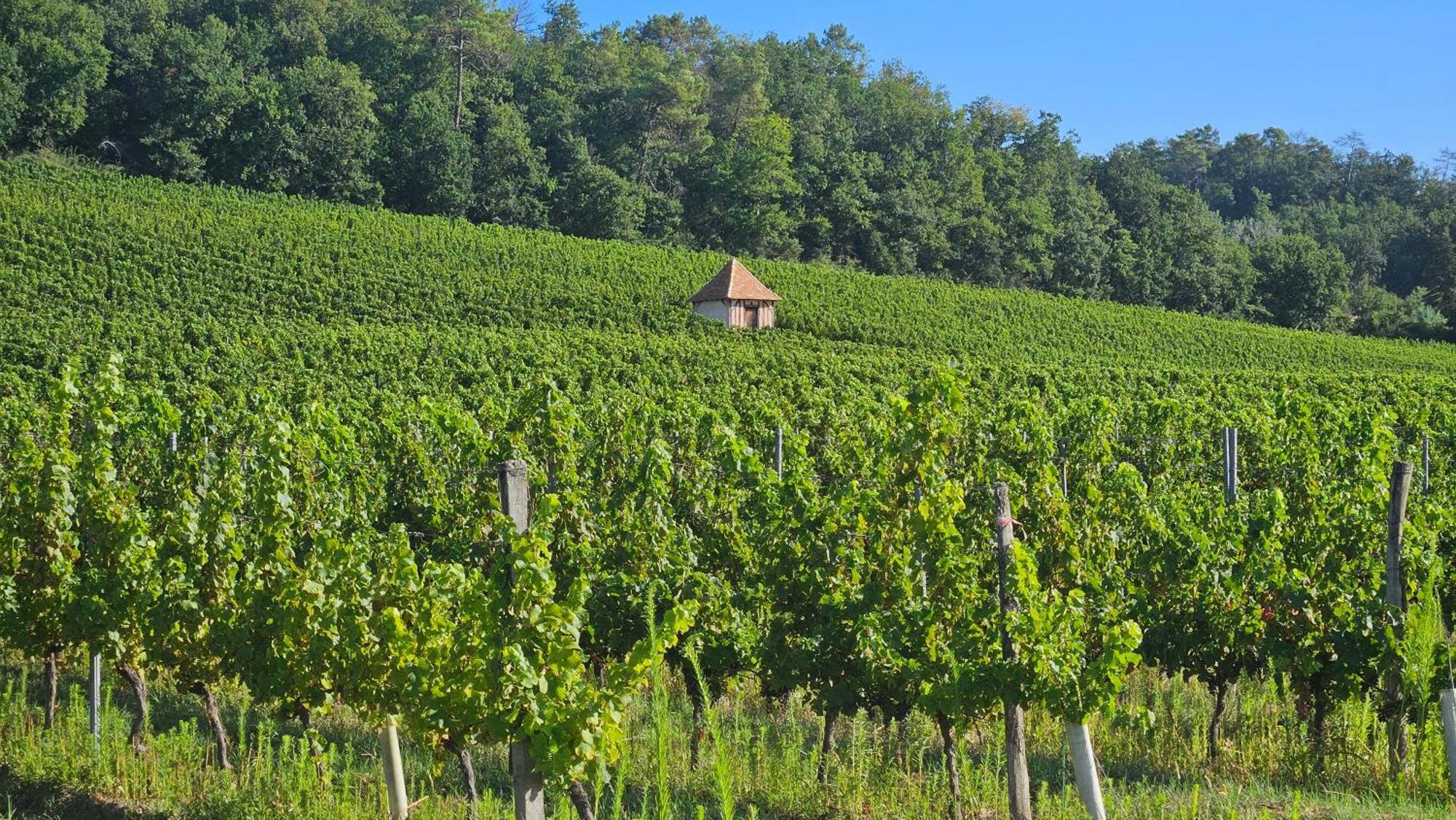 Chambres Et Gites Les Deux Chenes Pres De Bergerac Le Fleix Dış mekan fotoğraf