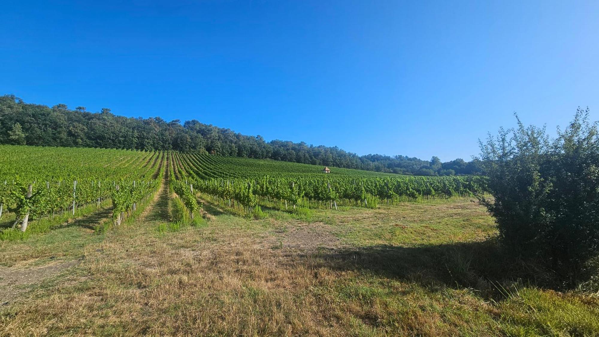 Chambres Et Gites Les Deux Chenes Pres De Bergerac Le Fleix Dış mekan fotoğraf